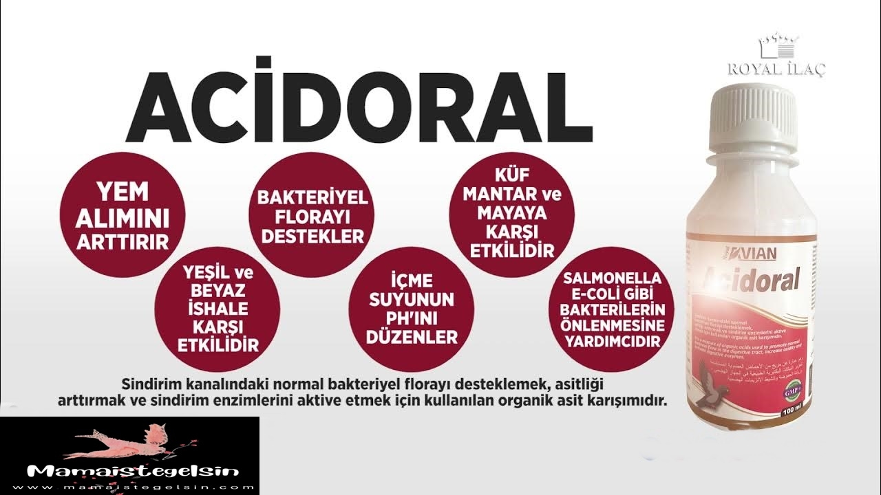 Acidoral%20Kanatlılarda%20Ishal%20Destekleyici%201%20Lt.