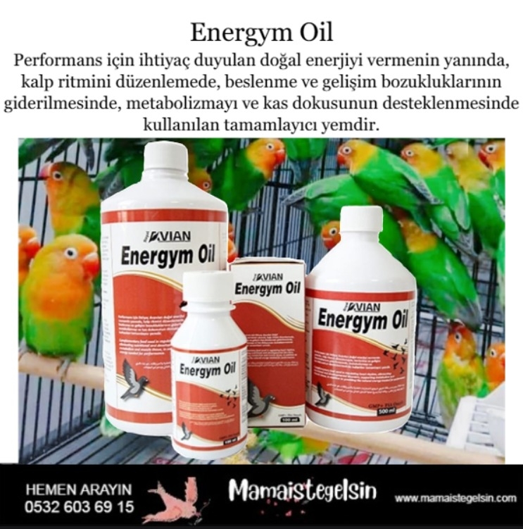 Energym%20Oil%201%20Lt.