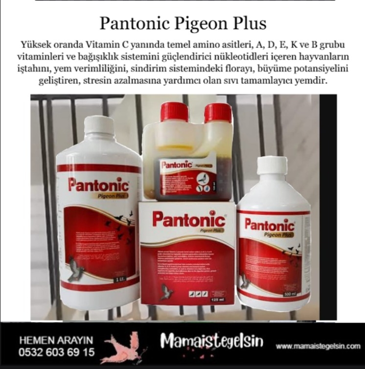 Pantonic%20Pigeon%20Plus%20Multivitamin%201%20Lt.%20Güvercin%20Ve%20Kafes%20Kuşları%20Için