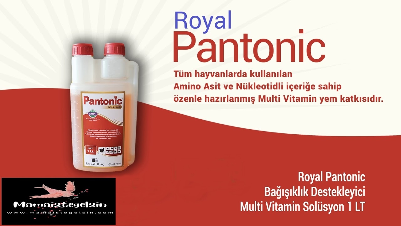 Pantonic%20Pigeon%20Plus%20Multivitamin%201%20Lt.%20Güvercin%20Ve%20Kafes%20Kuşları%20Için