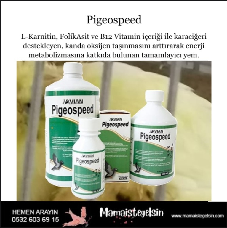 Pigeospeed%20100%20Ml.%20Güvercinlerde%20Uçum%20Hızı%20Desteği