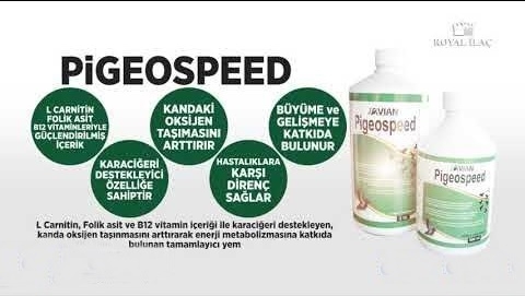 Pigeospeed%20500%20Ml.%20Güvercinlerde%20Uçum%20Hızı%20Desteği