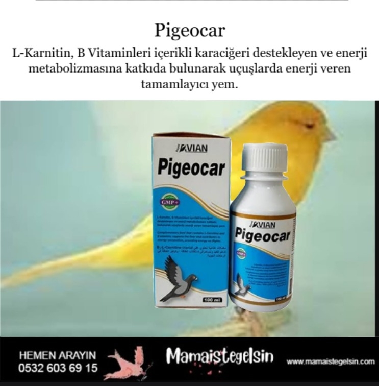 Pigeocar%20100%20Ml.%20Kafes%20Kuşlarında%20Karaciğer%20Desteği