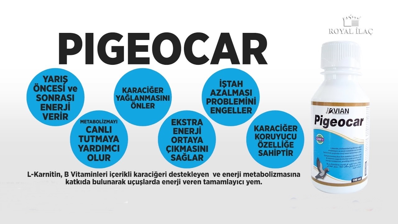 Pigeocar%20100%20Ml.%20Kafes%20Kuşlarında%20Karaciğer%20Desteği