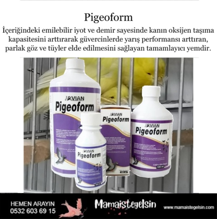 Pigeoform%201%20Lt.%20Performans%20Arttırıcı