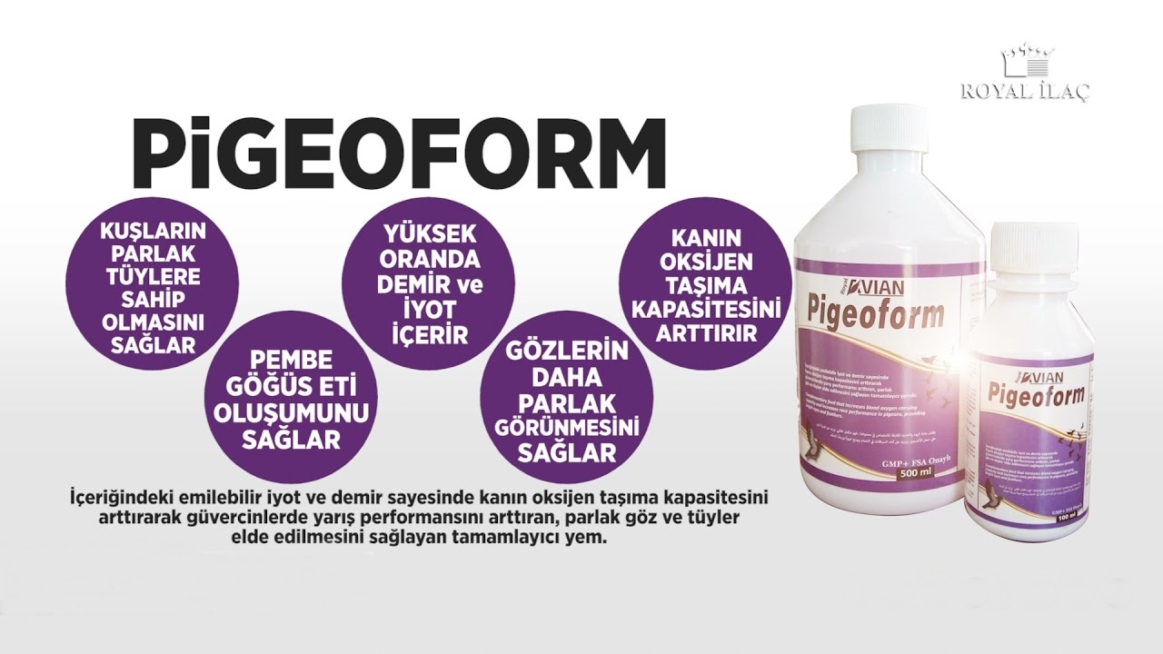 Pigeoform%201%20Lt.%20Performans%20Arttırıcı