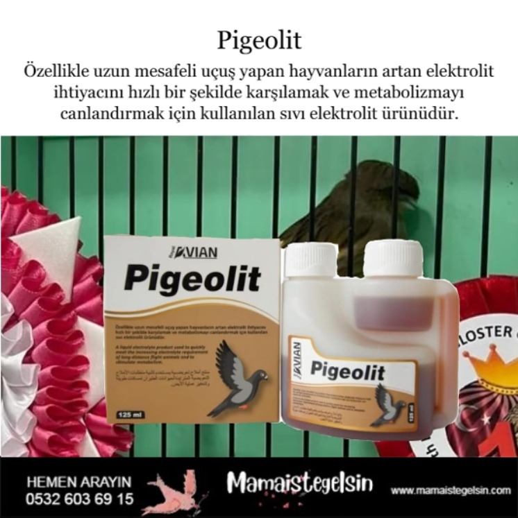 Pigeolit%20125%20Ml.%20Kafes%20Kuşları%20Ve%20Güvercinlerde%20Elektrolit%20Desteği