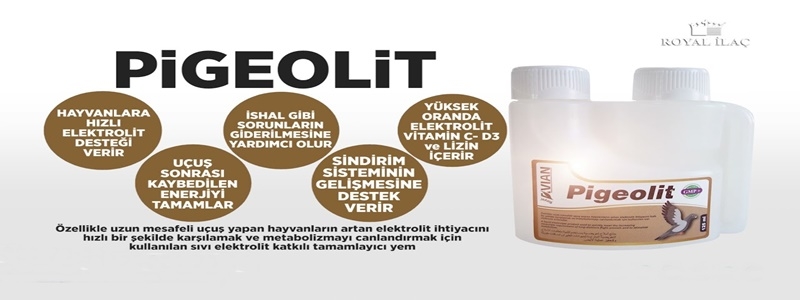 Pigeolit%20125%20Ml.%20Kafes%20Kuşları%20Ve%20Güvercinlerde%20Elektrolit%20Desteği