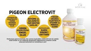 Pigeon%20Electrovit%201%20Lt.%20Kuşlar%20Için%20Elektrolit%20Desteği