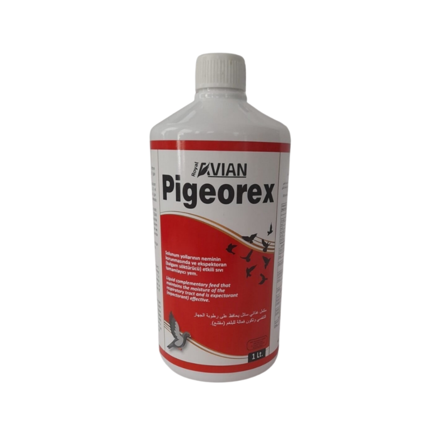 Pigeorex%201%20Lt.%20Kuşlarda%20Hırıltı%20Ve%20Nefes%20Açıcı%20Solunum%20Yolları