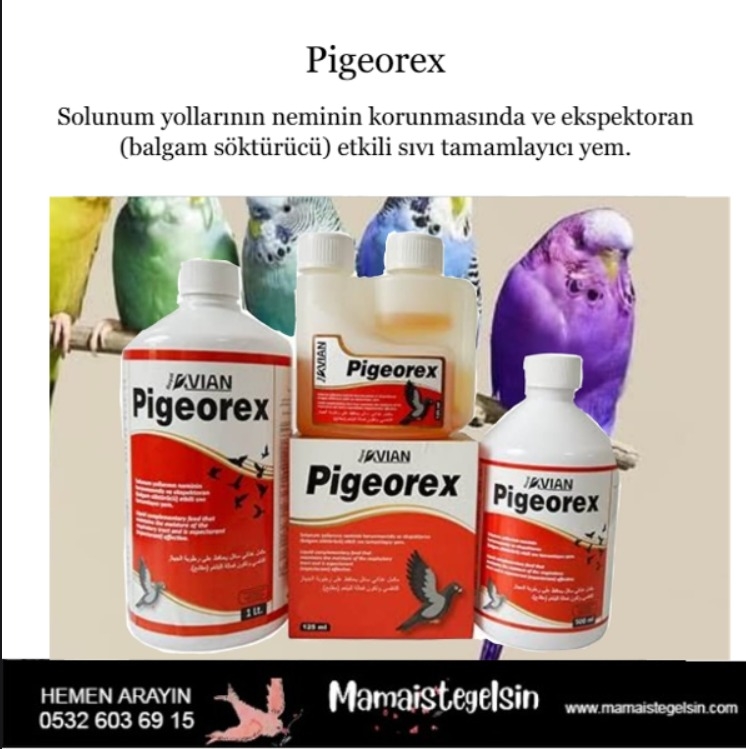 Pigeorex%20500%20Ml.%20Kuşlarda%20Hırıltı%20Ve%20Nefes%20Açıcı%20Solunum%20Yolları