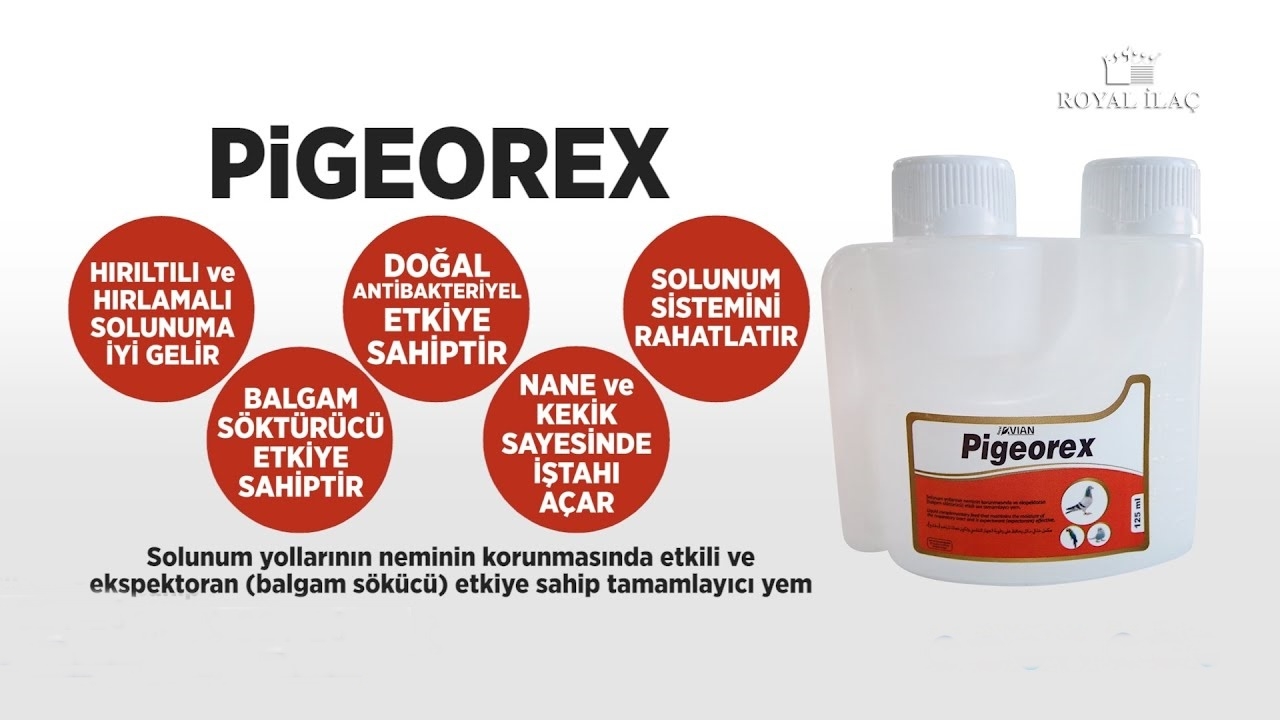 Pigeorex%201%20Lt.%20Kuşlarda%20Hırıltı%20Ve%20Nefes%20Açıcı%20Solunum%20Yolları