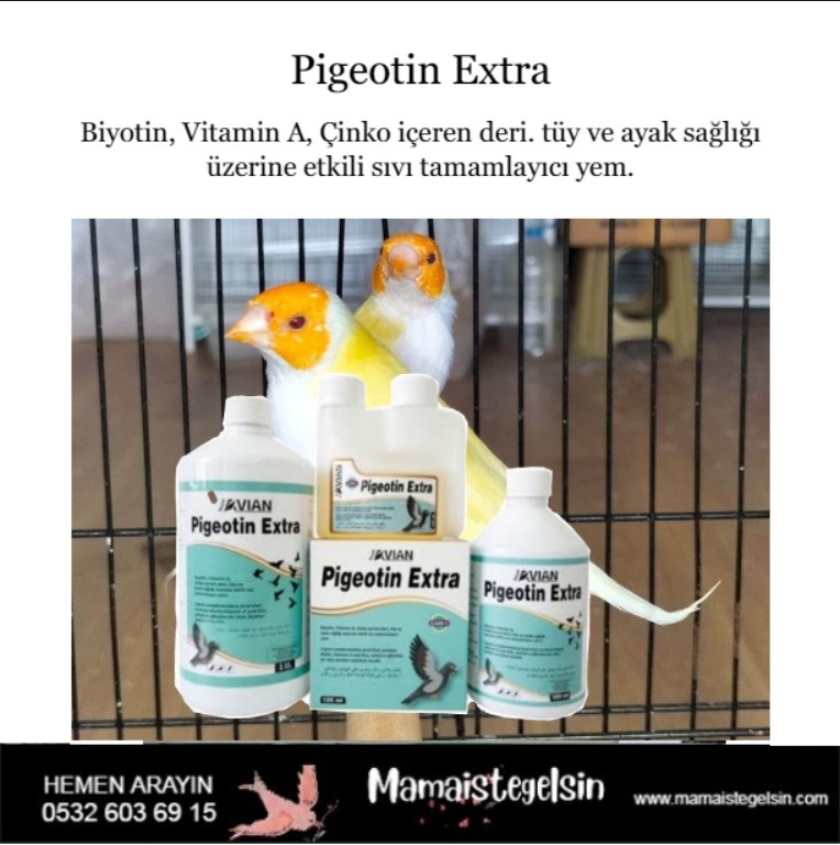 Pigeotin%20Extra%20Güvercin%20Ve%20Kafes%20Kuşlarında%20Biotin%20Desteği%20125%20ml.