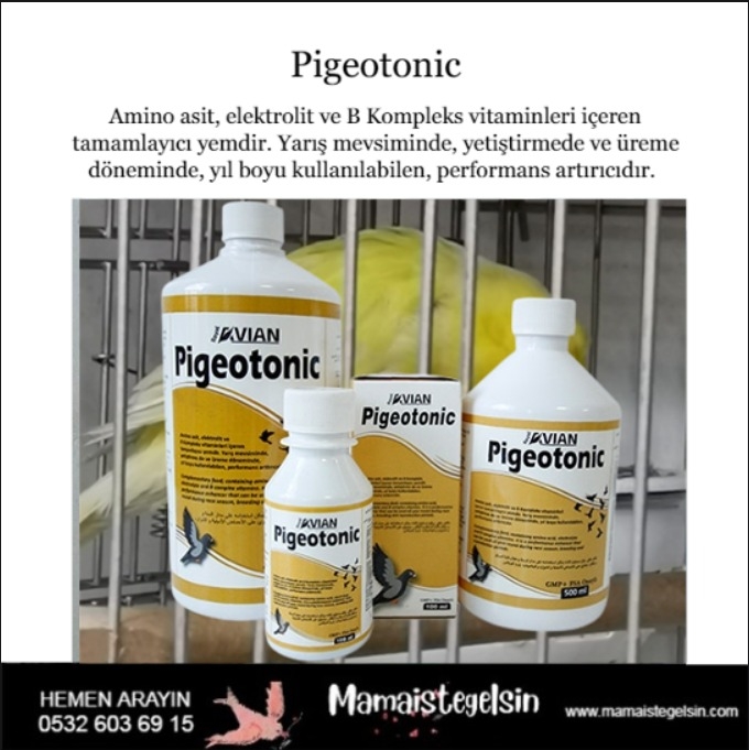 Pigeotonic%20100%20ml.%20Aminoasit%20Ve%20B%20Vitamini%20Destekleyici