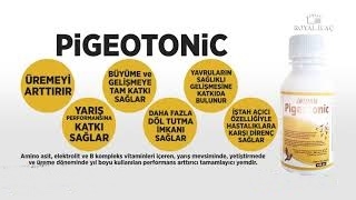 Pigeotonic%201%20Lt.%20Aminoasit%20Ve%20B%20Vitamini%20Destekleyici