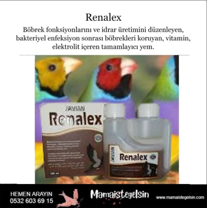 Renalex%20125%20Ml%20Güvercin%20Ve%20Kafes%20Kuşlarında%20Böbrek%20Desteği