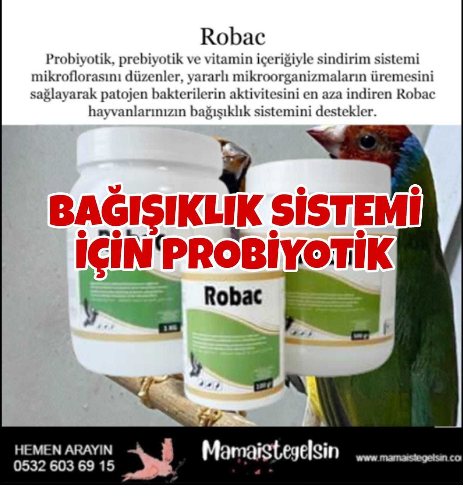 Robac%201%20Kg.%20Probiyotik%20Ve%20Prebiyotik%20Güvercin%20Ve%20Kafes%20Kuşları%20Için