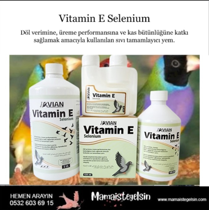 Vitamin%20E%20Selenium%20500%20Ml.