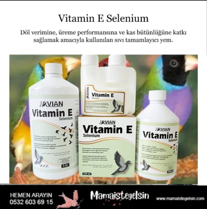 Vitamin%20E%20Selenium%20125%20Ml.