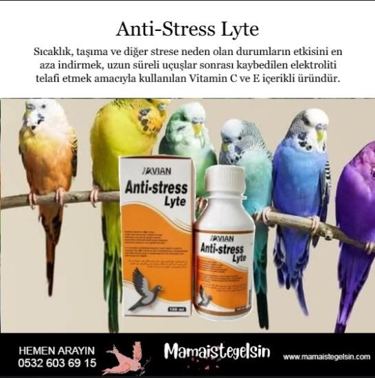 Anti-stress Lyte 100 Ml. Electrolit Desteği