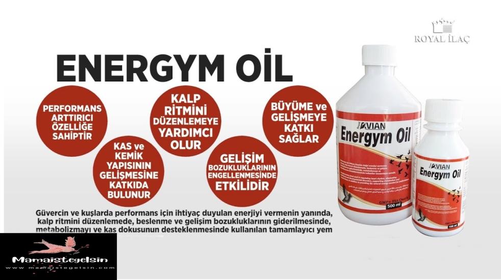 Energym Oil 500 ml.