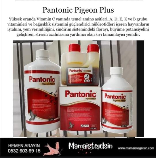 Pantonic Pigeon Plus Multivitamin 125 Ml. Güvercin Ve Kafes Kuşları Için