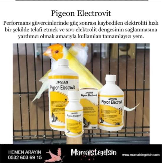 Pigeon Electrovit 100 Ml. Kuşlar Için Elektrolit Desteği