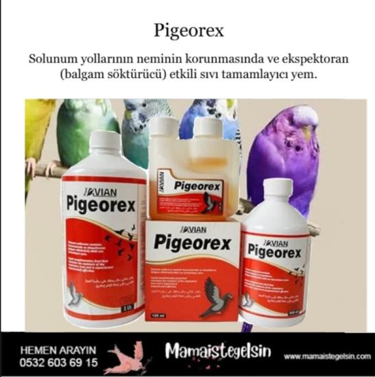 Pigeorex 500 Ml. Kuşlarda Hırıltı Ve Nefes Açıcı Solunum Yolları