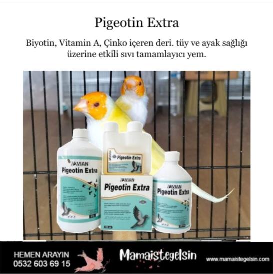 Pigeotin Extra Güvercin Ve Kafes Kuşlarında Biotin Desteği 500 ml.