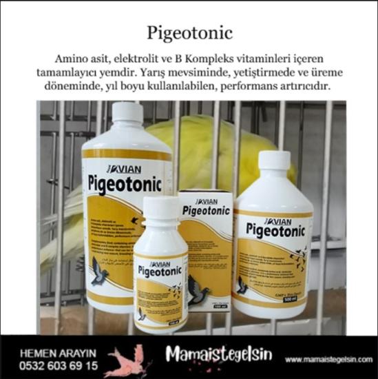 Pigeotonic 1 Lt. Aminoasit Ve B Vitamini Destekleyici