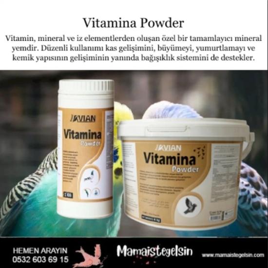 Vitamina Powder Vitamin Ve Mineral Desteği 2 Kg.
